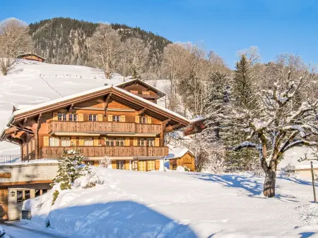 Chalet Hori, Appartement 4 personnes à Grindelwald - Photo 26