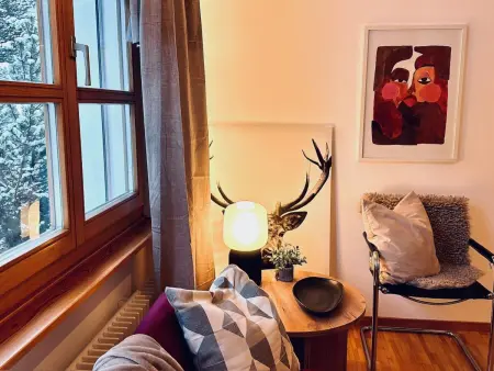 Steil Alva Studios Smit, Appartement 2 personnes à Lenzerheide - Photo 3