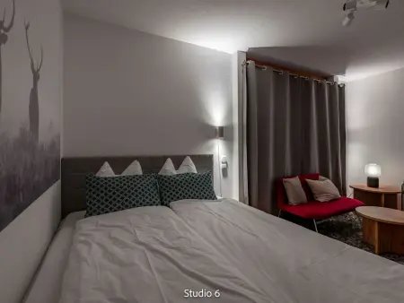 Steil Alva Studios Smit, Appartement 2 personnes à Lenzerheide - Photo 4