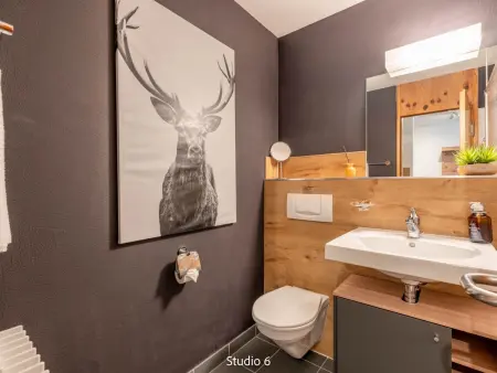 Steil Alva Studios Smit, Appartement 2 personnes à Lenzerheide - Photo 12