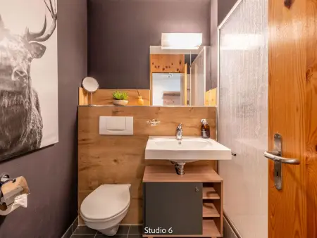 Steil Alva Studios Smit, Appartement 2 personnes à Lenzerheide - Photo 13