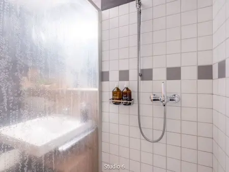 Steil Alva Studios Smit, Appartement 2 personnes à Lenzerheide - Photo 14