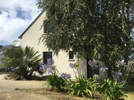 Appartement avec terrasse, WIFI à 100m de la plage à Trébeurden - Photo 13