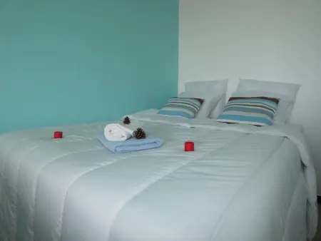 Studio vue mer pour 2 personnes à Notre-Dame-de-Monts, animaux acceptés - Photo 11