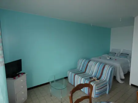 Studio vue mer pour 2 personnes à Notre-Dame-de-Monts, animaux acceptés - Photo 14