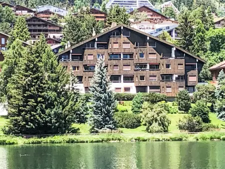 Golf Bellerive 76, Appartement 2 personnes à Crans Montana - Photo 27