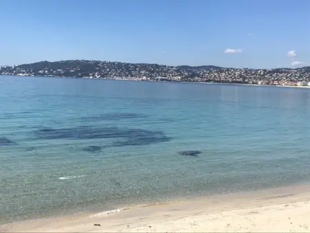 Appartement 2P avec terrasses, parking privé, à 100m des plages - Juan-les-Pins - Photo 23