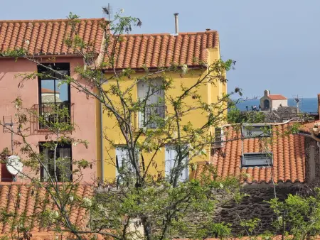Studio à Collioure avec terrasse et parking privé - Photo 19