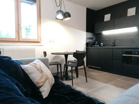 Charmant appart rénové 2 pièces, sur pistes, luxe 3 pers - Photo 8