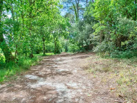 Marina de Talaris, Maison 4 personnes à Lacanau   Lac - Photo 22