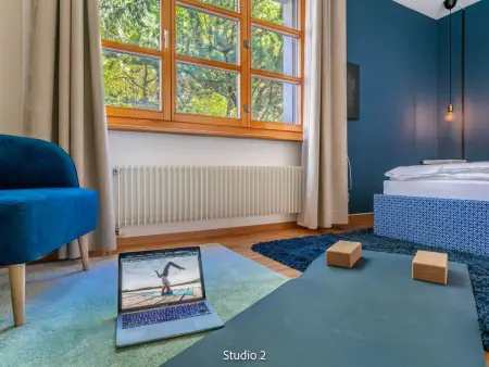 Steil Alva Studios Smit, Appartement 2 personnes à Lenzerheide - Photo 2