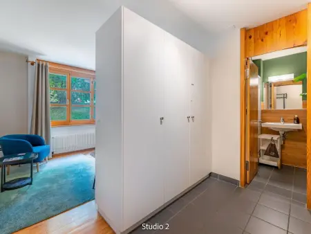 Steil Alva Studios Smit, Appartement 2 personnes à Lenzerheide - Photo 4