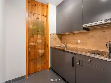 Steil Alva Studios Smit, Appartement 2 personnes à Lenzerheide - Photo 7