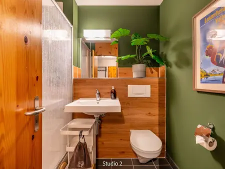 Steil Alva Studios Smit, Appartement 2 personnes à Lenzerheide - Photo 15