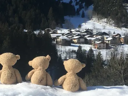 Charmante grange rénovée au calme, capacité 4 pers., balcon sud à Pralognan-la-Vanoise - Photo 8
