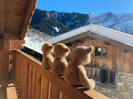 Charmante grange rénovée au calme, capacité 4 pers., balcon sud à Pralognan-la-Vanoise - Photo 18