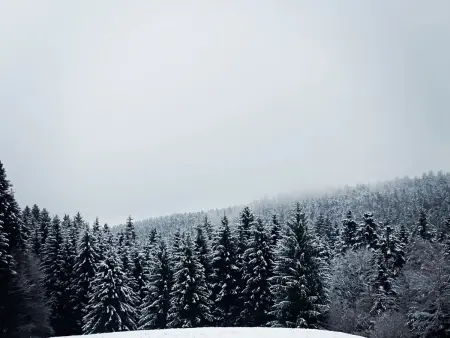 Cosy gîte dans les Vosges, terrasse privative, idéal randonnées - Photo 13