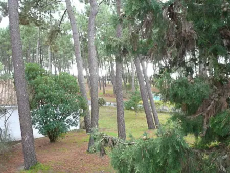 Maison de vacances avec animaux admis à La Palmyre - Photo 15