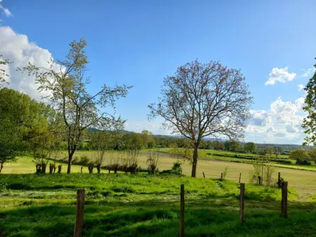 Gîte charmant pour 13 pers avec babyfoot et cheminée - Photo 34