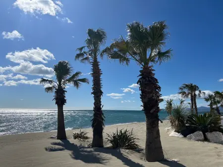 Saint-Cyprien: T3 en RDC, Terrasse, Parking, à 600m de la Plage - Photo 14