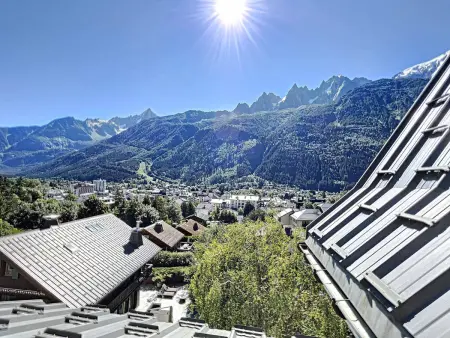 Chamonix: Appart. standing 6 pers, 3 ch, parking, centre-ville - Photo 13
