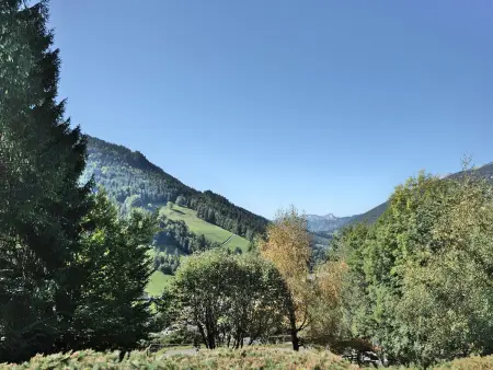 T2 rénové au Grand-Bornand avec balcon, parking et terrasse, 4 pers, proche village - Photo 16