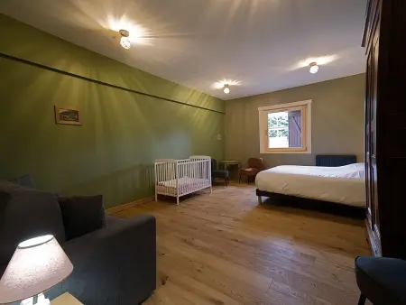 Chalet familial avec salle de jeux et spa, près de Gérardmer, pour 15 pers. - Photo 14