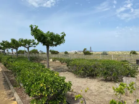 Villa T3 Climatisée à Port Leucate, 6 Pers, Proche Mer avec Parking Sécurisé - Photo 15