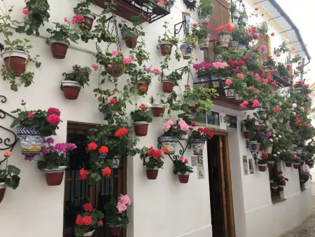 Appartement à Córdoba : Piscine, garage et quartier commerçant - Photo 22