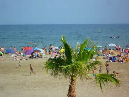 Grand T2 Climatisé 36m² avec Parking à 450m de la Plage - 4 Pers - Photo 15