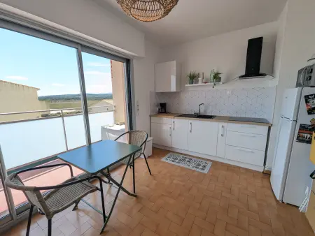 Bel appartement T2 climatisé avec piscine et parking à 250m de la plage - Photo 7