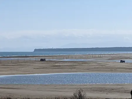 Bel appartement T2 climatisé avec piscine et parking à 250m de la plage - Photo 16