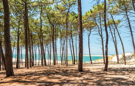 Maison 6 personnes à Lege Cap Ferret - Photo 26