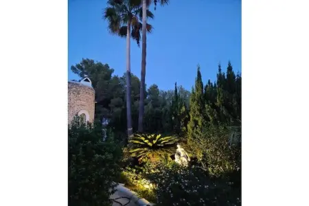 234821, Casa Palmera Résidence de vacances confortable - Photo 7