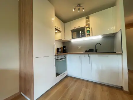 Studio rénové proche centre Samoëns avec balcon et proximité ski-bus - Photo 6