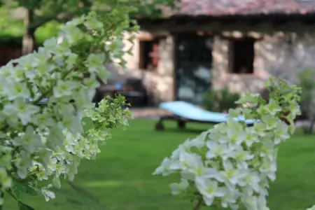 77063, Artuico  avec jardin dans le château - Photo 6