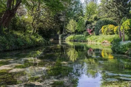 77063, Artuico  avec jardin dans le château - Photo 10