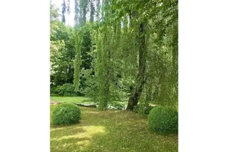 77063, Artuico  avec jardin dans le château - Photo 12