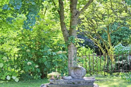 77063, Artuico  avec jardin dans le château - Photo 16