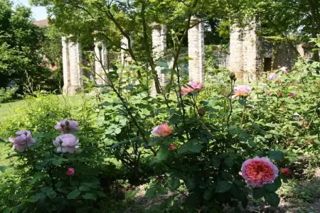 77063, Artuico  avec jardin dans le château - Photo 18