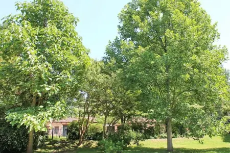 77063, Artuico  avec jardin dans le château - Photo 21