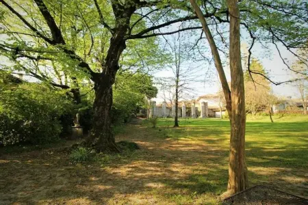 77063, Artuico  avec jardin dans le château - Photo 22