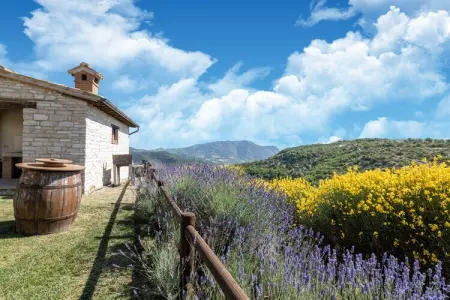 Orchidea, Maison de Campagne à Cagli avec Piscine - Photo 30