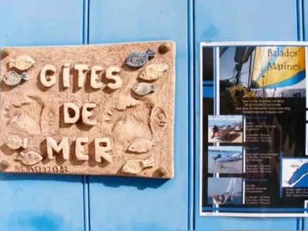 Loft rénové avec climatisation et jardin à Mèze - Photo 8