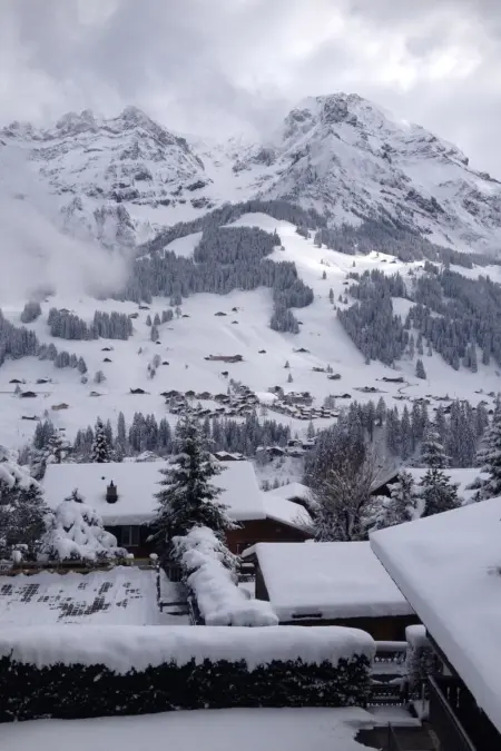 Lohnerhof AP C4, Appartement 4 personnes à Adelboden - Photo 4