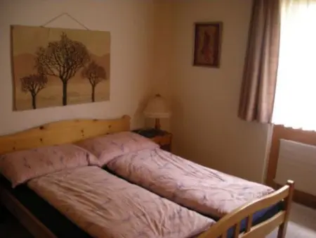 Lohnerhof AP C4, Appartement 4 personnes à Adelboden - Photo 7
