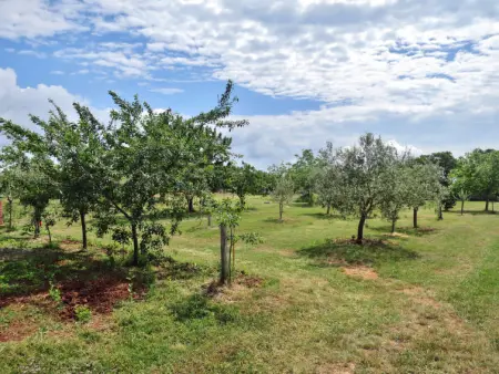 Majoli, Maison 6 personnes à Rovinj - Photo 4