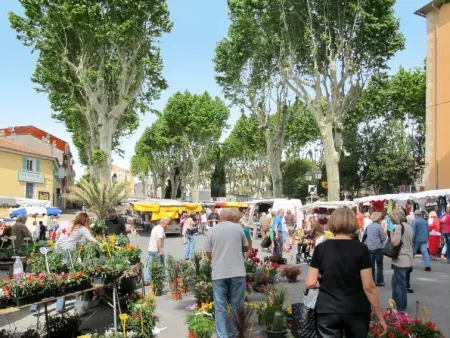 Mas des Lavandes, Maison 10 personnes à Lorgues - Photo 32