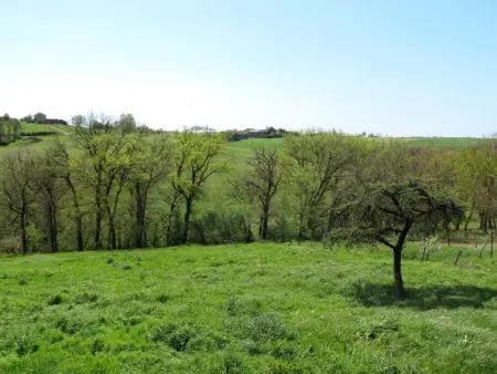 Lacapelle, Maison 6 personnes à Lacapelle Ségalar - Photo 13