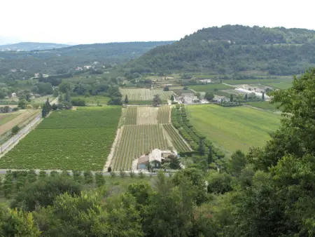 Les Vignes, Maison 4 personnes à Ménerbes - Photo 20